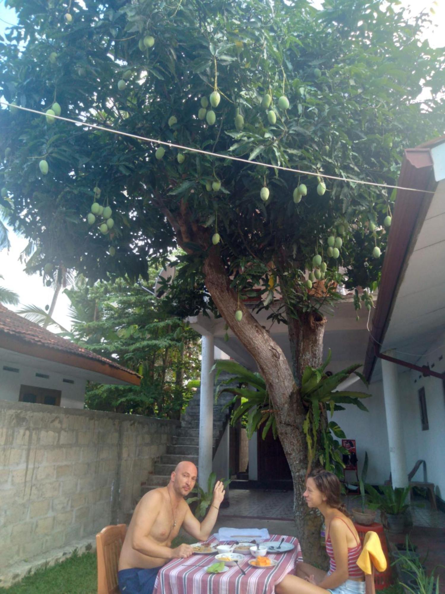 Sanithu Homestay And Villa Galle Buitenkant foto